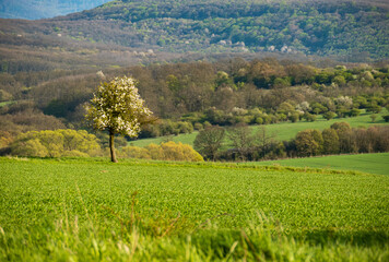 Obraz premium traditional, moody landscape in region country