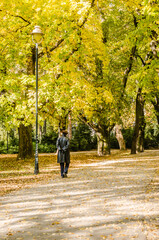 Obraz premium City park in Novi Sad in the autumn period of the year. Panorama of the City Park in Novi Sad in the autumn period of the year.