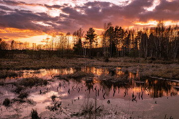 Evening spring sunset in nature