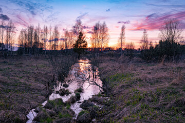 Evening spring sunset in nature