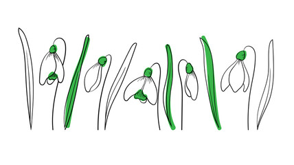 Fototapeta na wymiar Set of snowdrops in outline style with spot on isolated background. Springing the first flowers to compose your design. Sketch. Vector illustration