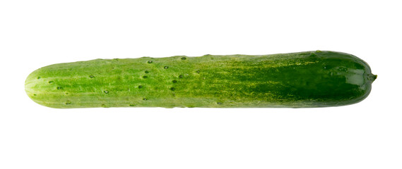 cucumber isolated on white background