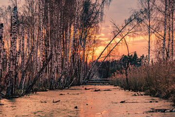 Night in the reflection of the lake
