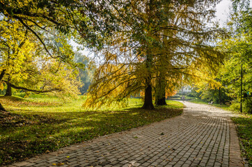 City park in Novi Sad in the autumn period of the year. 