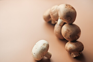 Fototapeta premium organic cultivated mushrooms. agriculture concept. fresh farm grown royal mushrooms. copy space
