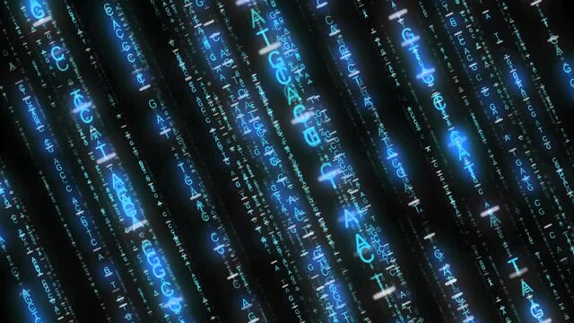 DNA塩基の文字の柱が並ぶ空間内を移動する（ループ可）