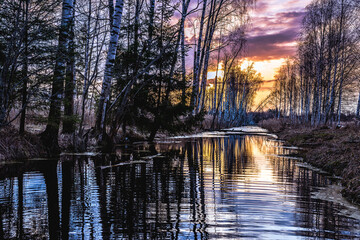 Night in the reflection of the lake