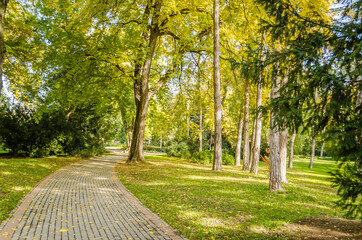 City park in Novi Sad in the autumn period of the year. "Walking trail among autumn trees in one of the parks of the city of Novi Sad - Serbia"