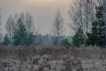 Night in the reflection of the lake