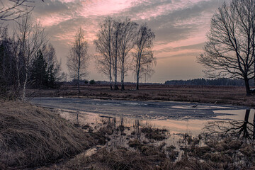 Night in the reflection of the lake