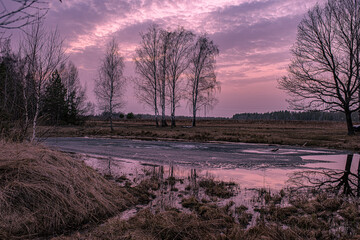 Night in the reflection of the lake