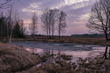 Night in the reflection of the lake