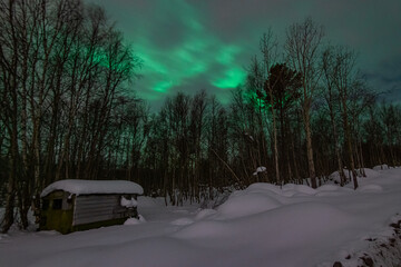 Hunting for night lights in the Arctic