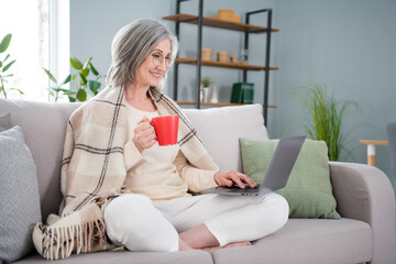 Full body photo of relaxed happy nice old woman hold mug look laptop sit sofa indoors inside house home
