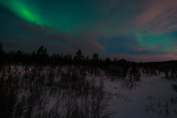 Hunting for night lights in the Arctic