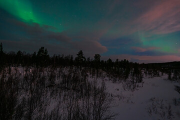 Hunting for night lights in the Arctic