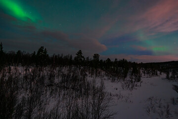 Hunting for night lights in the Arctic