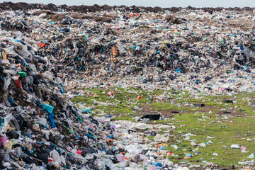 Ukraine, Tatarbunary - 25.04. 2021. Pollution. City landfill. Household waste.