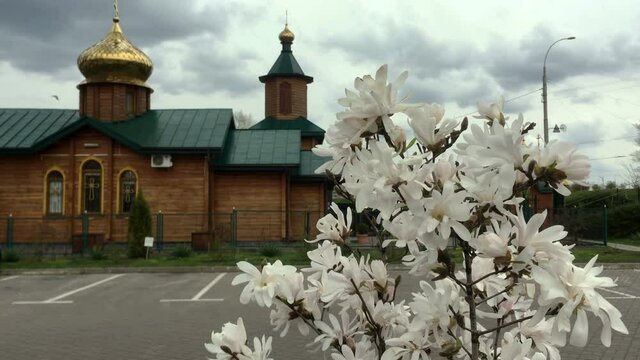 View of small christian orthodox church with flowering white Magnolia stellata on foreground in springtime against dark sky. Selective focus. Close-up.