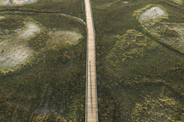 Camino en la naturaleza