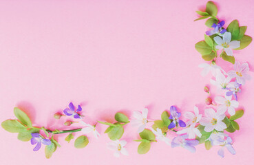 Fototapeta na wymiar white and blue flowers on pink paper background