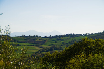 Fototapeta na wymiar Panorama rurale marchigiano in primavera