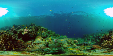 Fototapeta na wymiar Coral garden seascape and underwater world. Colorful tropical coral reefs. Life coral reef. Philippines. 360 panorama VR