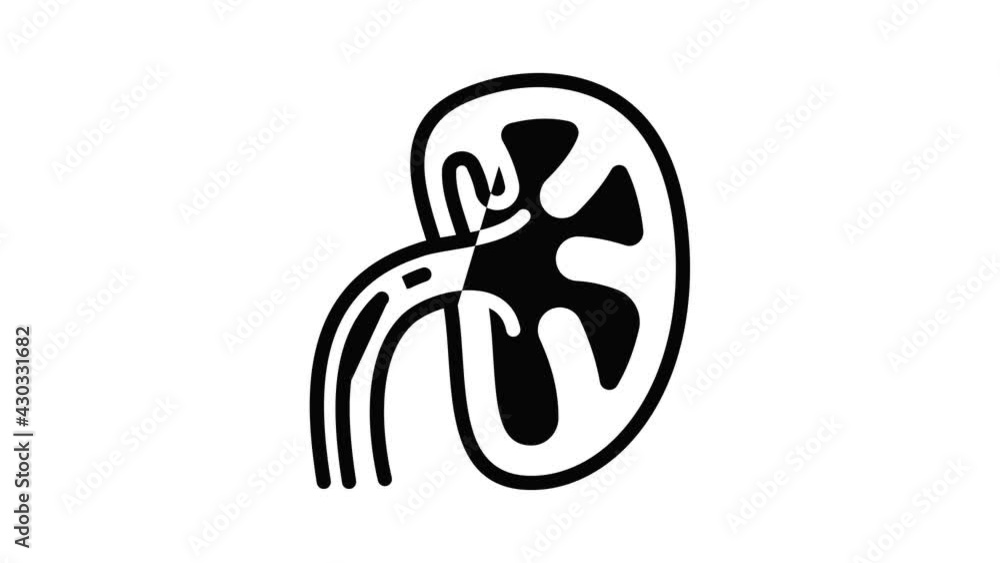 Poster spleen in section icon animation outline best object on white background