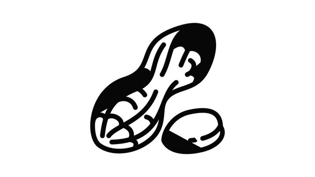 Natural peanut icon animation outline best object on white background