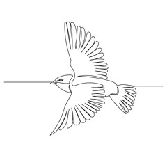 vector, isolated, one line drawing bird flying