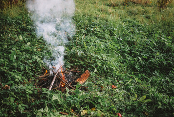 Campfire burning in the forest, hiking concept, small fire near camp in the summer, dangerous fire in the woods