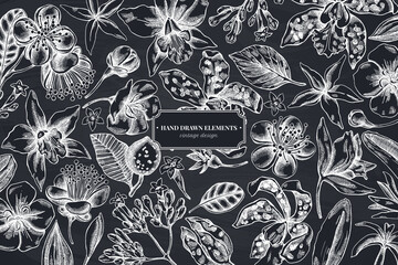 Floral design with chalk laelia, feijoa flowers, glory bush, papilio torquatus, cinchona, cattleya aclandiae