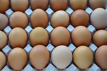 Cardboard container with brown chicken eggs.