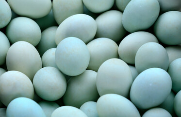 Many fresh duck eggs together