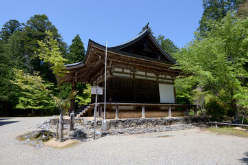 新緑の神護寺　五大堂　京都市高雄