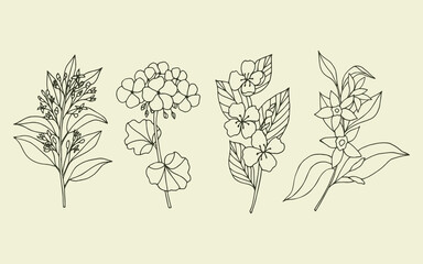 Set of hand drawn sandalwood, geranium, jasmine, vanilla