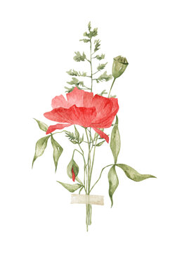 Watercolor bouquet with red poppy flowers, branch and leaves. Floral arrangement, bouquet. Decoration for card, invitation, greeting