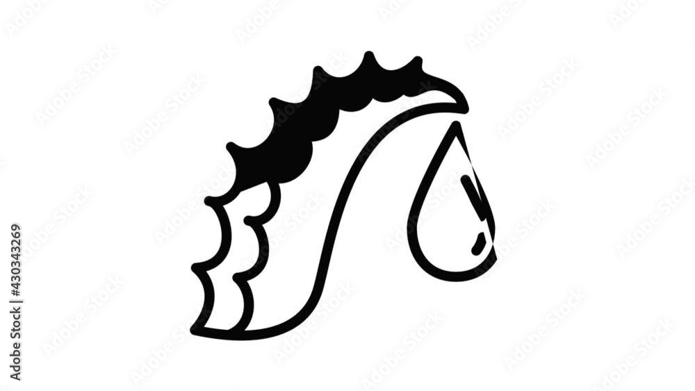 Poster aloe vera drop icon animation outline best object on white background