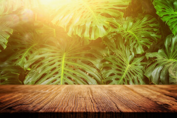 wooden table in front of tropical green Monstera leaves floral background. for product display and presentation © tomertu
