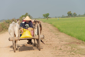 Obraz premium A manual worker is drive home after working in the morning. Picture took on 25 Sep 2015(Cambodia).