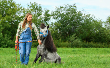 Naklejka na ściany i meble Caucasian young woman and her little horse are in outdoors. Grey pony is sitting next to its female owner on the grass.