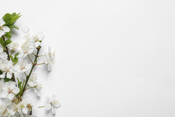 Fototapeta na wymiar Blossoming spring tree branch as border on light background, flat lay. Space for text
