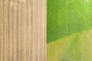 View straight down on a field and a meadow in summer in the Hessian Ried / Germany 