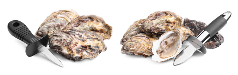 Fresh raw oysters and knives on white background. Banner design
