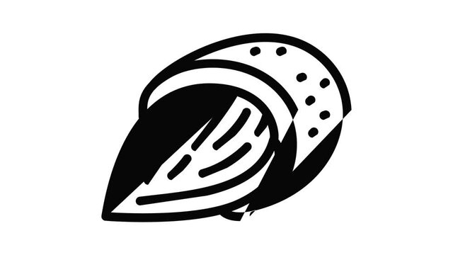 Almond food icon animation outline best object on white background