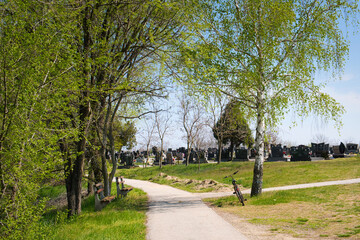 Beautiful countryside road to cemetery on a sunny day with blossoming flowers