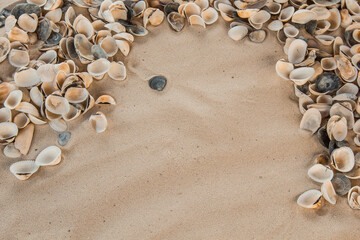 multicolored river seashells lie chaotically on the sand next to the sea. Macro photography. Close-up background concept, copy space