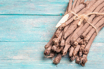 Bunch of raw Scorzonera or Spanish salsify on turquoise wooden table