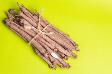 Crop of fresh unpeeled Scorzonera or Spanish salsify