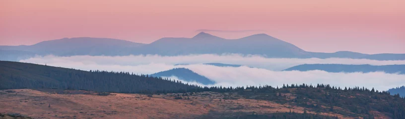 Foto op Canvas Carpathian mountains panorama © Galyna Andrushko